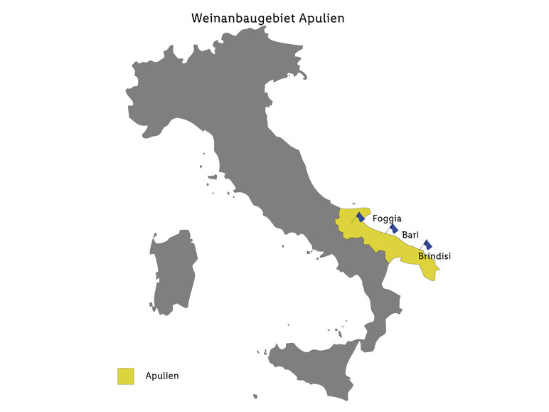 Primitivo Salento IGP trocken, Rotwein 2022 Super Sparpreis