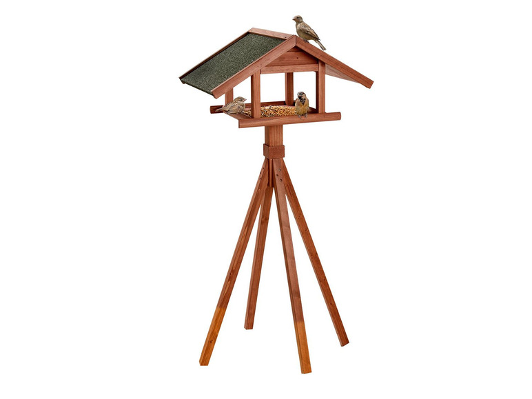 Karlie Bird's World Wild Remo Großer Ausverkauf