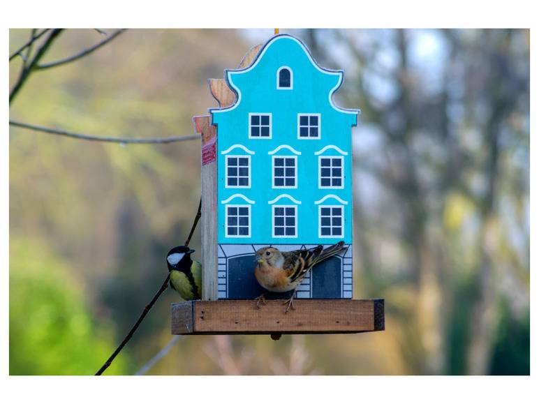 dobar Deko-Vogelhaus »Münster«, 19 x 19 x 30 cm, aus Holz Online Shopping