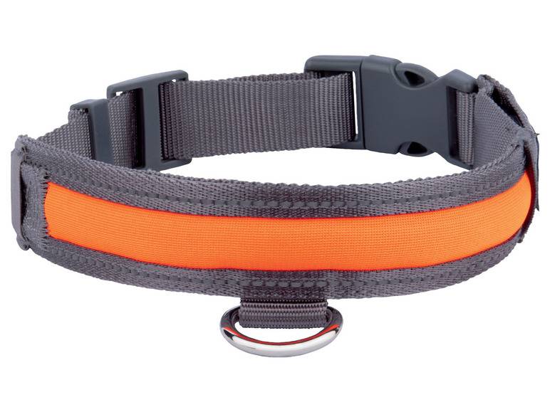 zoofari® Hundehalsband, mit LED Heißer Verkauf
