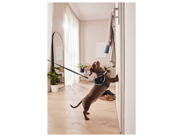 zoofari® Hundegeschirr, mit Klettstickern Top Angebot