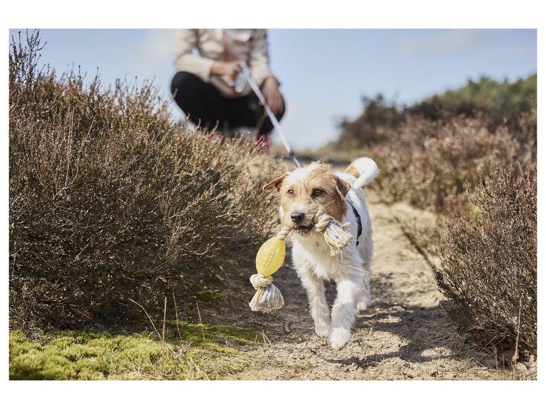 zoofari® Ausziehleine, mit Aufrollfunktion Bestseller