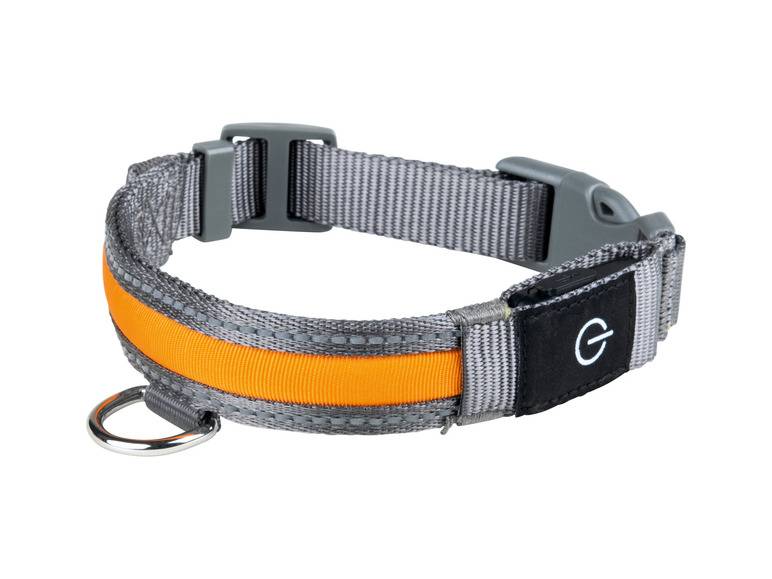 zoofari® LED-Hundeleuchtband, mit wiederaufladbarem Akku Räumungsverkauf
