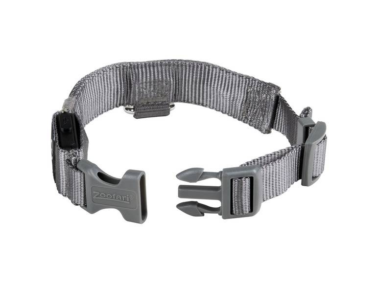zoofari® LED-Hundeleuchtband, mit wiederaufladbarem Akku Räumungsverkauf