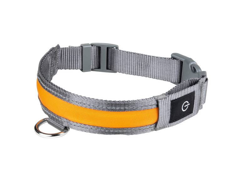 zoofari® LED-Hundeleuchtband, mit wiederaufladbarem Akku Räumungsverkauf