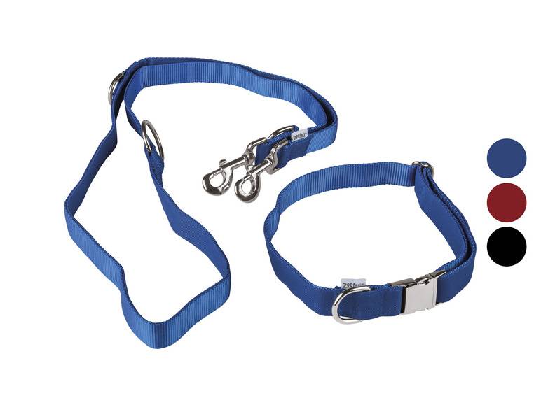 zoofari® Hundehalsband mit Hundeleine Tiefpreis