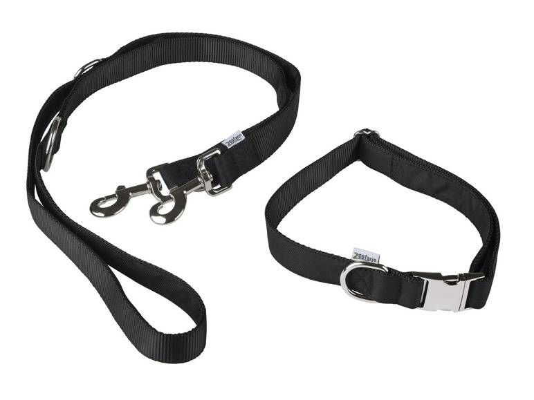 zoofari® Hundehalsband mit Hundeleine Tiefpreis