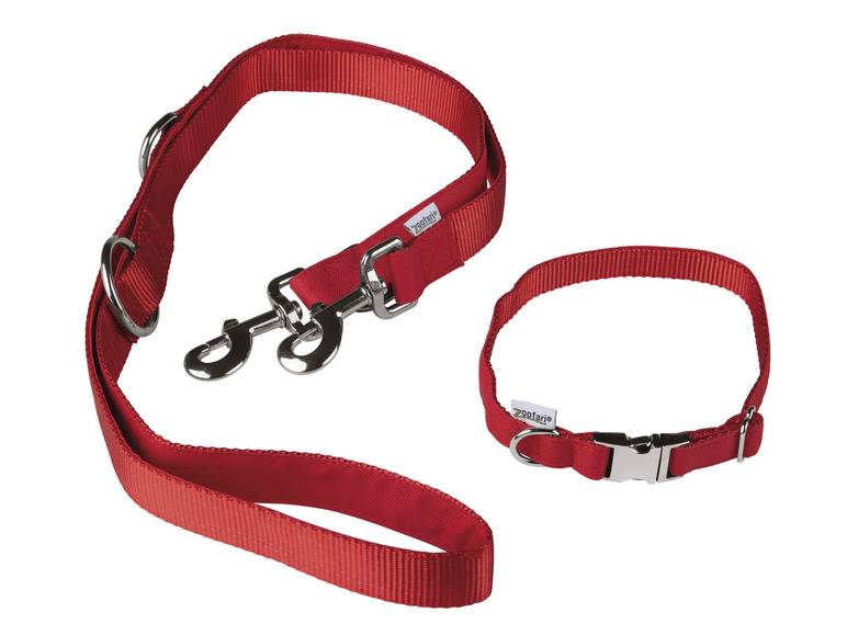 zoofari® Hundehalsband mit Hundeleine Tiefpreis