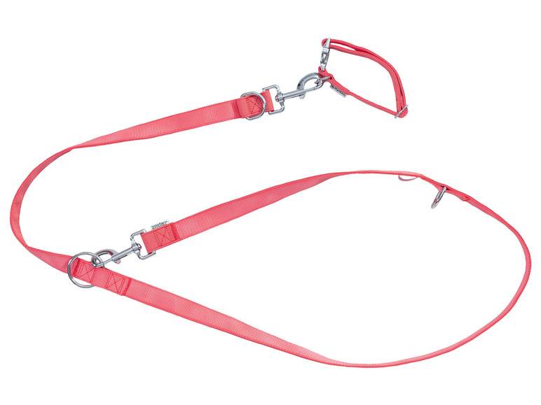 zoofari® Hundehalsband und Hundeleine Wochenangebot