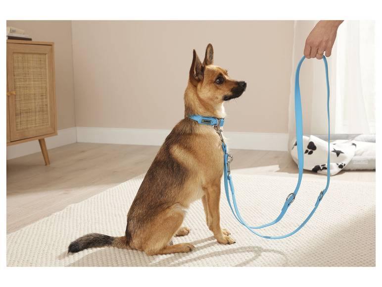 zoofari® Hundehalsband und Leine, 3-fach verstellbar Begrenzte Freigabe