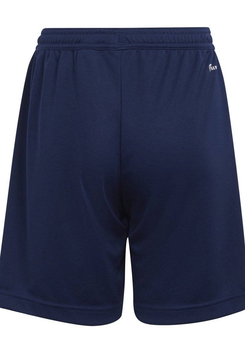 adidas Performance adidas Performance ENTRADA - Sports shorts - blue Heißer Verkauf