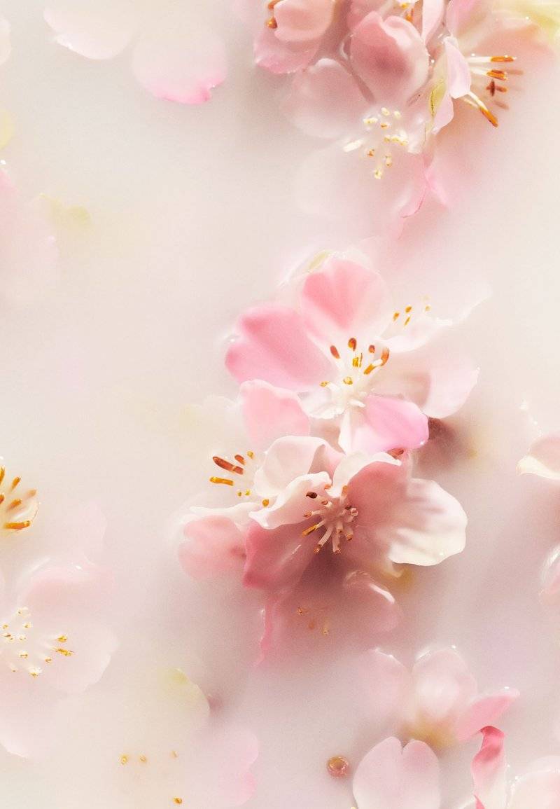 Rituals Rituals FOAMING SHOWER GEL TRAVEL SIZE THE RITUAL OF SAKURA - FLORAL - CHERRY BLOSSOM & RICE MILK - Shower gel Lagerräumung