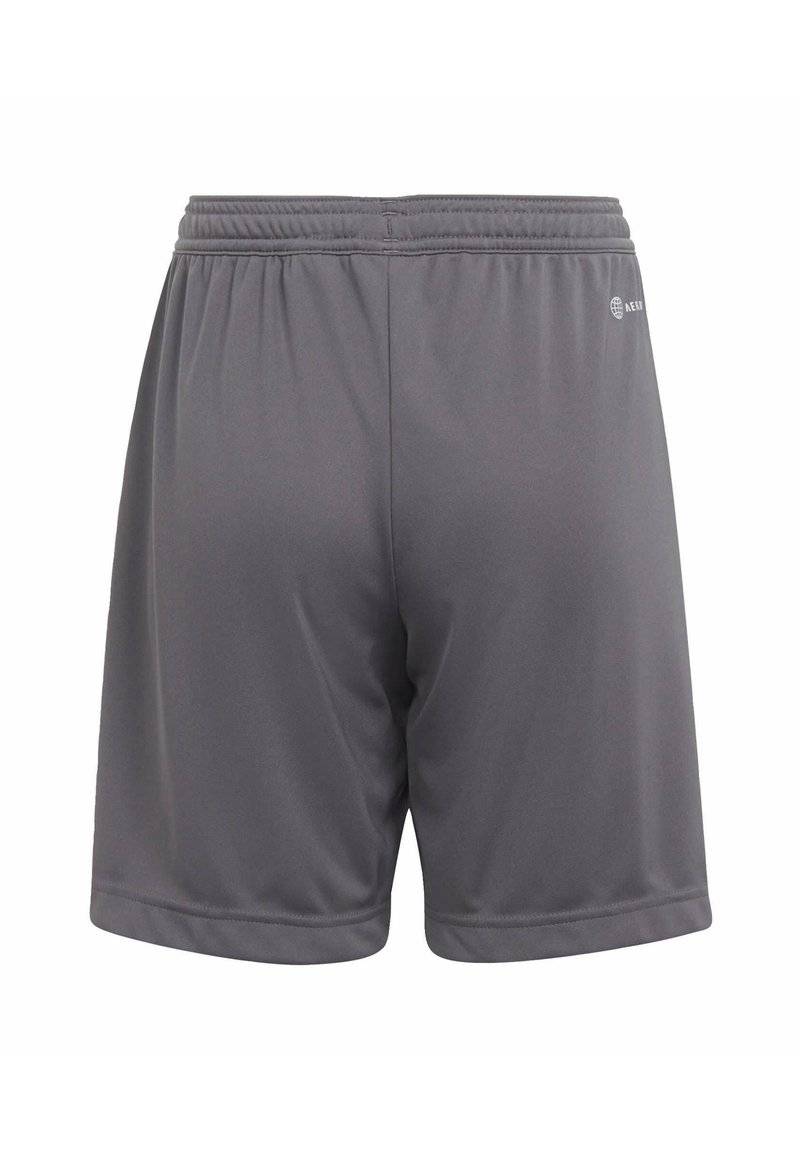 adidas Performance adidas Performance ENTRADA - Sports shorts - grey Osterangebot
