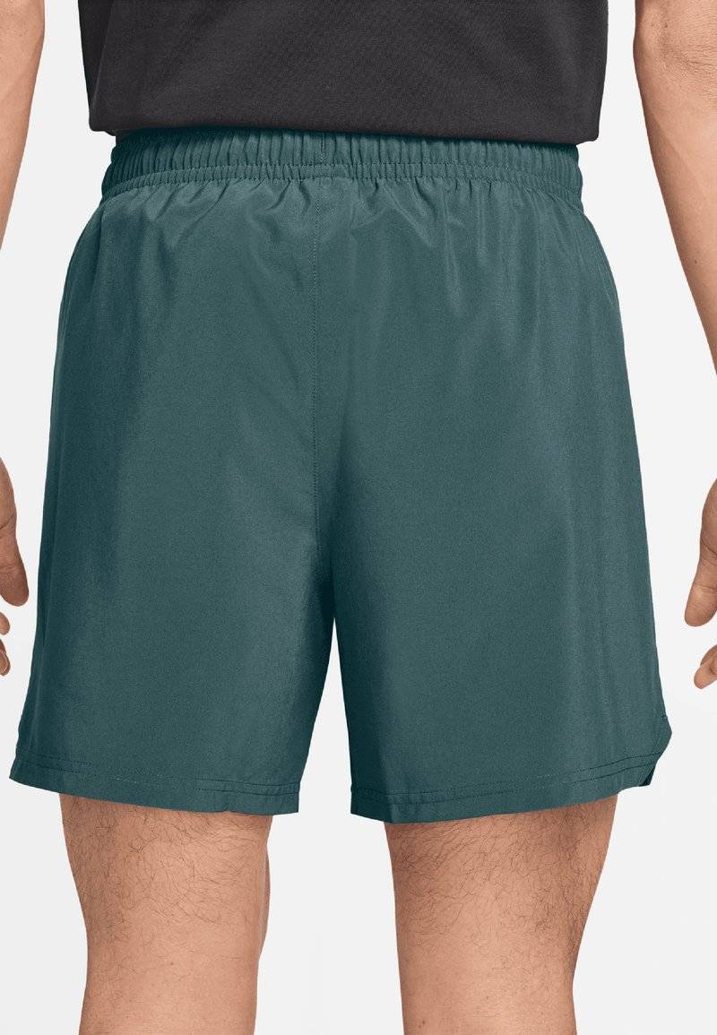 Jordan Jordan Sports shorts - oxidized green Im Verkauf