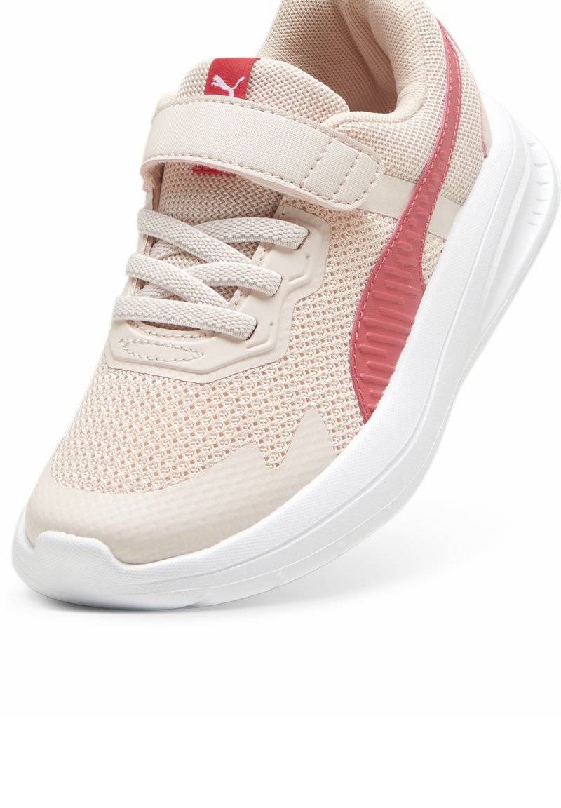 Puma Puma EVOLVE - Stability running shoes - island pink white tart cherry Muttertagsangebot