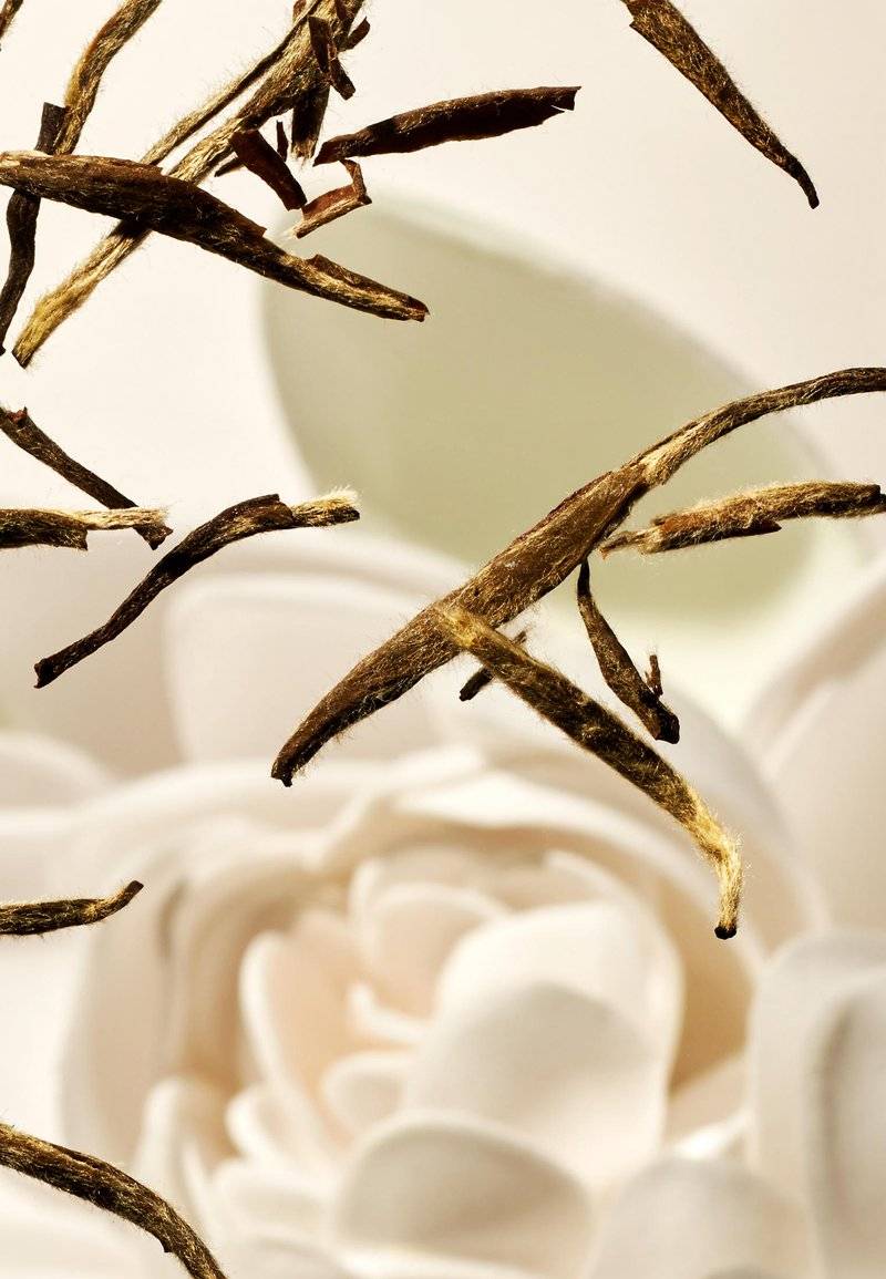 Rituals Rituals HAND WASH THE RITUAL OF KARMA - DELICATELY SWEET - LOTUS & WHITE TEA - Liquid soap Nur für heute