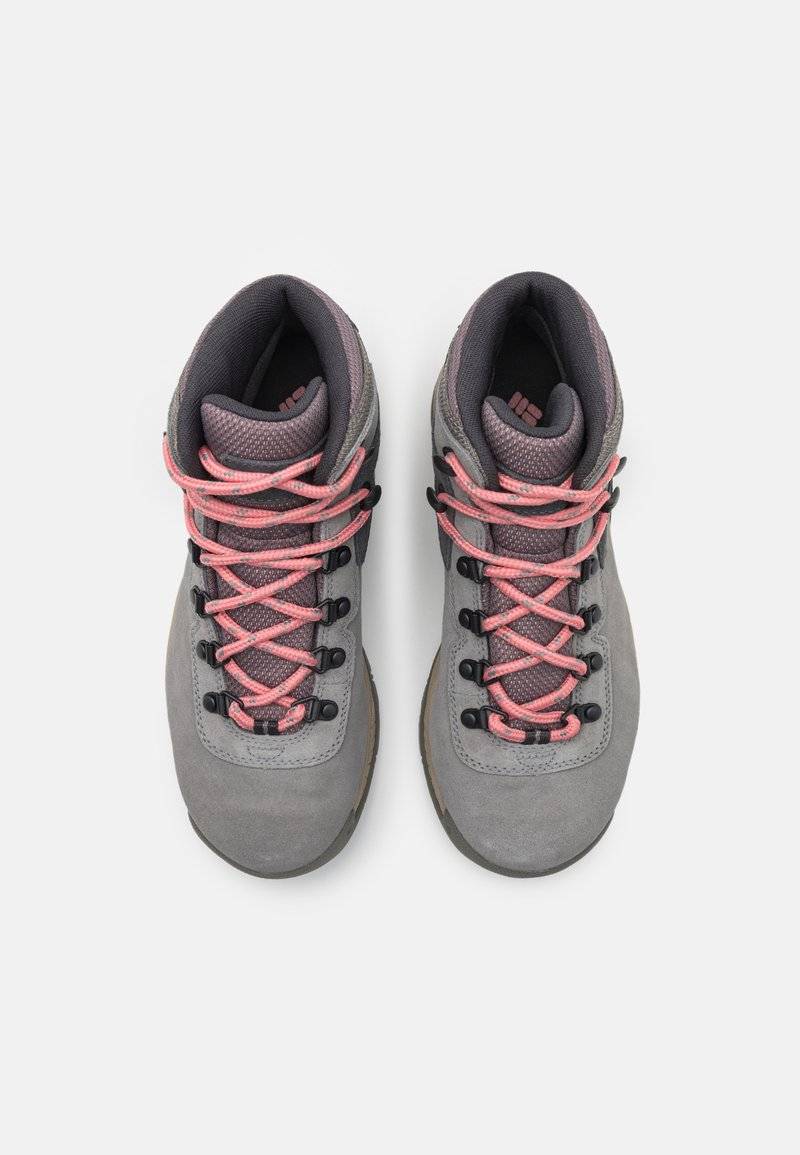 Columbia Columbia NEWTON RIDGE PLUS WATERPROOF AMPED - Hiking shoes Großer Ausverkauf